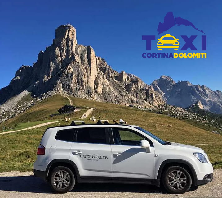 RadiotaxiCortina_Microtek1